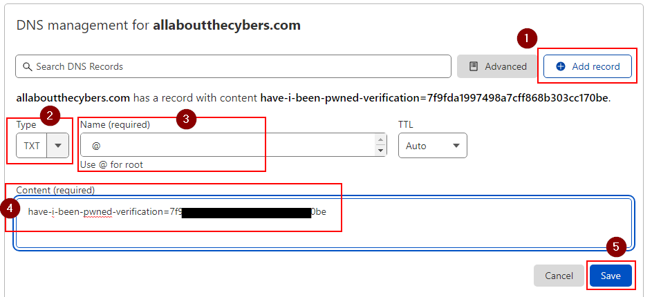 Adding a DNS record